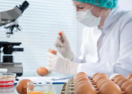 食品檢測儀器價格:選購指南與市場分析